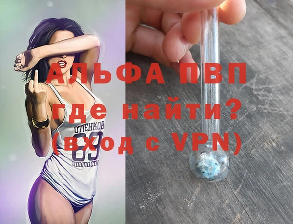 прущие грибы Вяземский