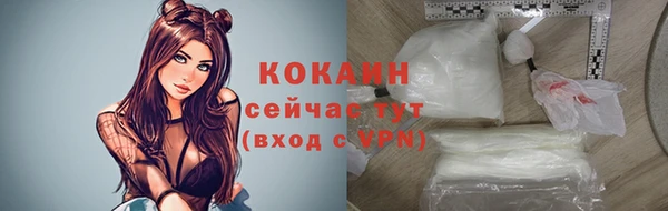 МДПВ Горняк