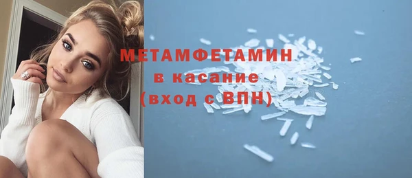 прущие грибы Вяземский