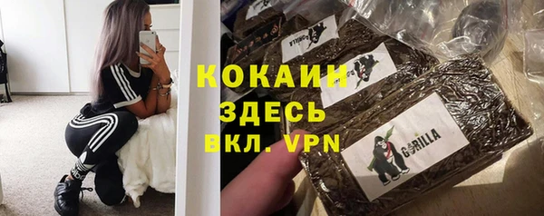 МДПВ Горняк