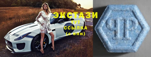 гидра Вязники