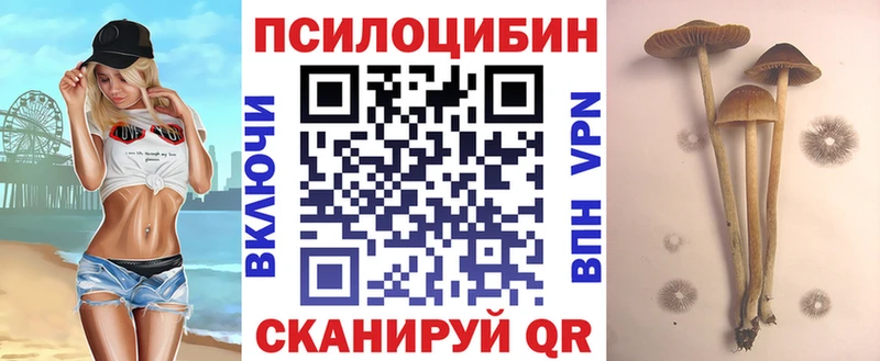 Галлюциногенные грибы мицелий Долинск